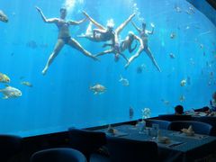 景观位-瑞德姆美人鱼海底演艺主题餐厅(亚龙湾店)