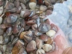 android_upload_pic-宜宾海鲜酒家·三十年老字号