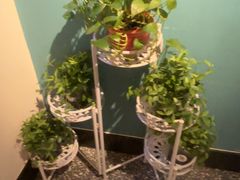 -倍儿美海鲜排挡·非遗海鲜蒸饺(总店)