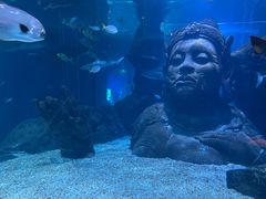 -暹罗海洋世界