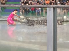 -是拉差龙虎园(Permanently closed)