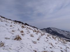 -秦岭风景区