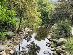 -白马涧龙池景区