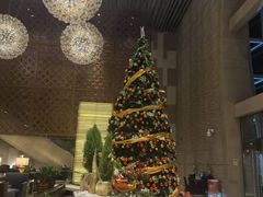 -天津君隆威斯汀酒店