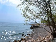 -抚仙湖禄充风景区