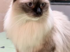 -佳雯宠物医院·皮肤科·内外科(春晓路分院)