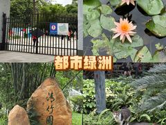 -晓港公园