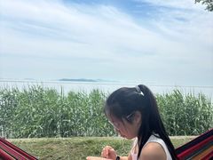 -西京湾花海