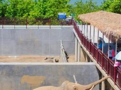 -西霞口神雕山野生动物世界