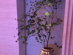 -舒小悦·舒养SPA·古法推拿(光环中心店)