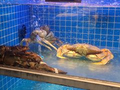 -大鹏饭店·金陵家宴(奥体中心店)