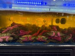 -辣螃铠盆盆蟹大排档(海昌店)