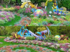 -上海共青森林公园