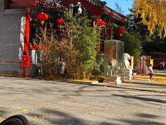 -仿膳饭庄·宫廷风味(百年传承店)