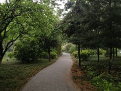 -唐城墙遗址公园