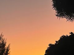 -广东惠东海龟国家级自然保护区