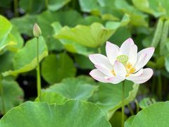 -西流沱小镇