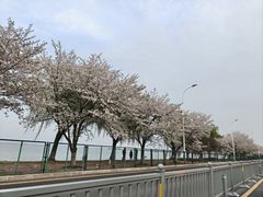 -映月湖中央公园