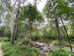 -玉渡山自然风景区