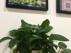 -官人桥番茄米线(温江行署店)