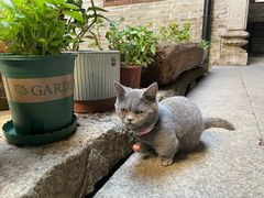 -老屋咖啡