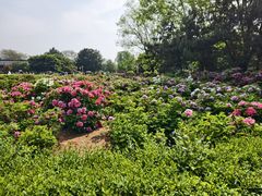 -洛阳市隋唐城遗址植物园