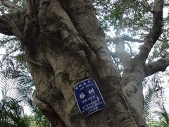 门面-胡里山炮台