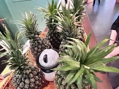 -南堂馆·新川菜(春熙路店)