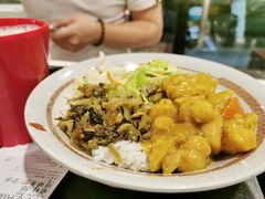 咖喱鸡肉饭-永和大王(赤峰路二店)