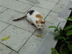 android_upload_pic-惠州西湖