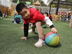 -金禾国际幼儿园