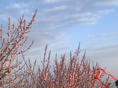 -华山风景名胜区