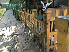 -瑞博尔花园酒店(太周创新产业园店)