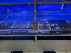 -威海渔村(静安旗舰店)