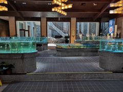 水产区-观澜湖酒店·邀月庭中餐厅