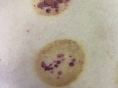 -Together·泰式按摩精油SPA(虹桥店)