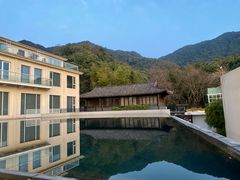 -龙坞茶村