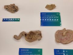 -生命奥秘博物馆