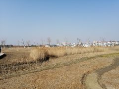 -鹦鹉洲湿地公园