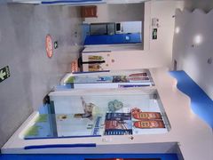 -关键词英语·青少儿·语言培训(福田区委校区)