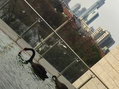 -行者书屋大堂吧 ·下午茶(南京圣和府邸酒店)