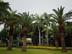 -白鹭洲公园