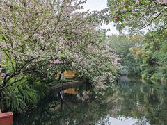 -棠湖公园