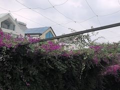 -怡得观滇餐厅·地道昆明菜·1996(海埂大坝店)