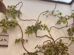 -耳艺采耳·足疗(市桥店)