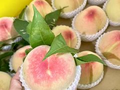 -老袁家蜜桃农场·阳山水蜜桃