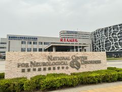 -首都医科大学附属北京天坛医院