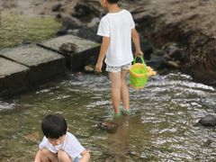 -白水寺森林公园
