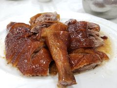-姚林轩