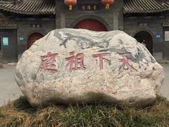-活死人墓